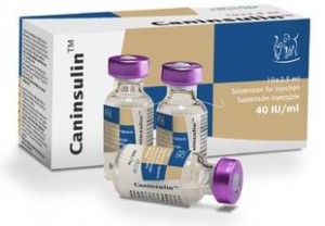 caninsulin