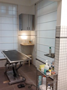 Salle de chirurgie clinique vétérinaire Bruxelles