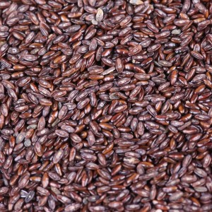 psyllium