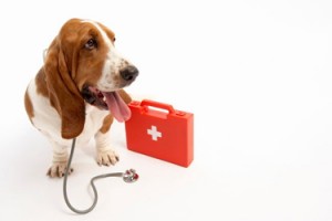 trousse secours